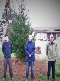 le-sapin-de-noel-plante-aux-abords-de-la-mairie