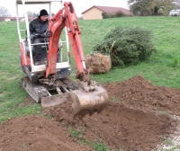 le-sapin-de-noel-plante-aux-abords-de-la-mairie