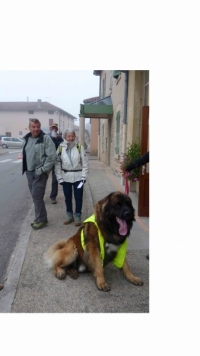 la-randonnee-du-fleurissement-fait-un-carton-!