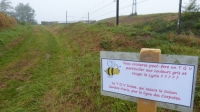 la-randonnee-du-fleurissement-fait-un-carton-!