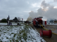 lors-de-leur-manoeuvre-les-pompiers-brulent-les-sapins-de-noel