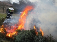 les-sapeurs-pompiers-brulent-les-sapins-de-noel