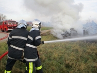les-sapeurs-pompiers-brulent-les-sapins-de-noel