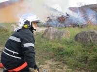les-sapeurs-pompiers-brulent-les-sapins-de-noel