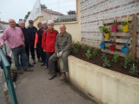 plantations-et-decorations