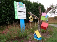 le-fleurissement-estival-joue-les-prolongations