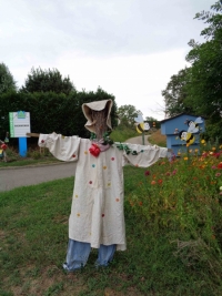 le-fleurissement-estival-joue-les-prolongations