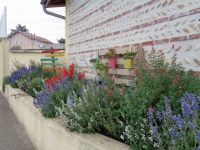 le-fleurissement-estival-joue-les-prolongations