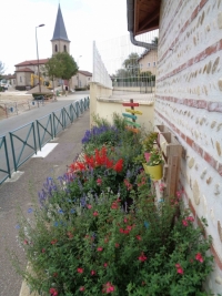 le-fleurissement-estival-joue-les-prolongations