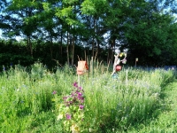 les-benevoles-ont-decore-la-commune