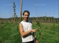 du-houblon-a-la-biere-15-septembre-2019